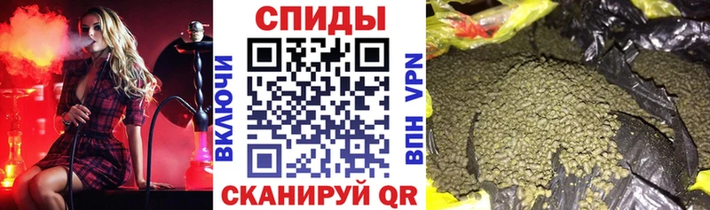 закладки  мориарти формула  Бутират Butirat  Новосокольники 