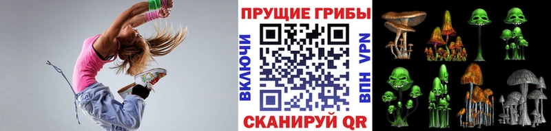 что такое   Новосокольники  Галлюциногенные грибы Cubensis 